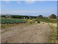 Farmland near Tolroy Holiday Village