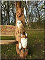 NS5472 : Squirrel, barn owl and fox by Richard Sutcliffe
