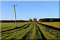 Track across Hutton Moor