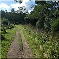 NCN49 by Monmouthshire and Brecon Canal near Cil Farm