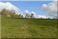 Footpath across field