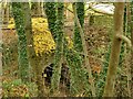 Culvert on the Loadpit Beck