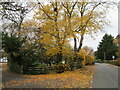 Autumn in Naunton Beauchamp