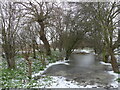 Old Course of the Moselle at Lordship Lane Rec Tottenham