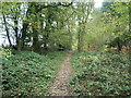 Public bridleway from Hook Road to Hursley Road