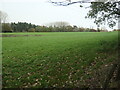 SU4223 : Field south-west of Hawstead Farm by Christine Johnstone