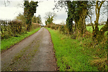 H4365 : Edergole Road, Kiltamnagh by Kenneth  Allen