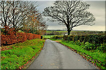 H4365 : Edergole Road, Kiltamnagh by Kenneth  Allen