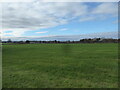 View across pasture towards the distant Breidden Hills from Broomfield