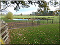 Pond in the grounds of a lodge at Adcote