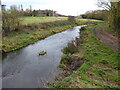 Part of the River Perry