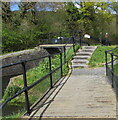 Steps up to the Neath Canal, Clyne