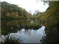 Hiltingbury Lake, from the dam