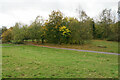 Path in Poulter Country Park