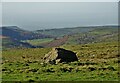 Boulder in a field in the parish of Quarnford