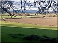 View over the Vale of Wigmore