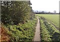 Footpath south of Barmby Road