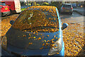 Auto autumn leaves, Bovey Tracey