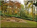 Prince of Wales Park: picnic area