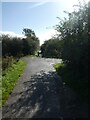 The Strawberry Line west of Yatton