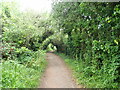 Wales Coast Path between Lower Penarth and Lavernock Point