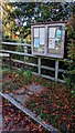 Fallen leaves and a noticeboard, Church Road, Llandegveth