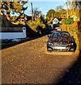 Fallen leaves on a car, Church Road, Llandegveth