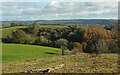 Countryside near Lower Combe