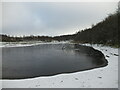 Partly frozen pond at Greenhead Moss