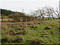 NX6965 : Rough grazing near Bellymack Cottage by M J Richardson