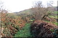 Llwybr ger Ffarm Brynteg / Path near Brynteg Farm