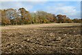 SU6954 : Farmland, Newnham by Andrew Smith