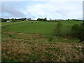 Grazing towards Langton Farm