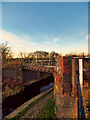 SD7909 : Manchester, Bolton and Bury Canal, Benny's Bridge by David Dixon