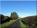 Looking up Horsegate Bank