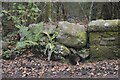 Old Bridge Marker beside Shaugh Bridge