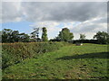 Grass field, Tibberton