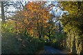 Bovey Tracey : Country Road