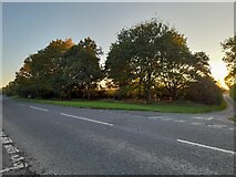 SP4255 : Junction on Banbury Road, Wormleighton by David Howard