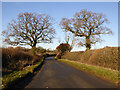 Lane towards Litchborough