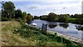 SE3867 : River Ure at Langthorpe by Sandy Gerrard