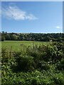 Fields east of the Strawberry Line, south of Winscombe