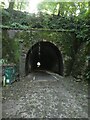 ST4256 : Strawberry Line tunnel under Winscombe Hill by David Smith