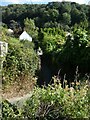 The edge of Cheddar and woodland in Cheddar Gorge