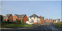 SO8791 : Himley Meadows Housing Development in Staffordshire by Roger  D Kidd