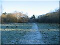 Brook meadow, Canley Ford