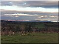 View of Dartmoor from Sherford Country Park