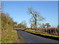 Road towards Bradden from Slapton