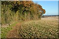 Farmland, Crondall