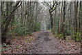 Muddy bridleway, Oldbury Hill